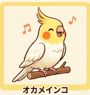 オカメインコ