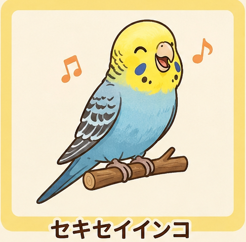 セキセイインコ