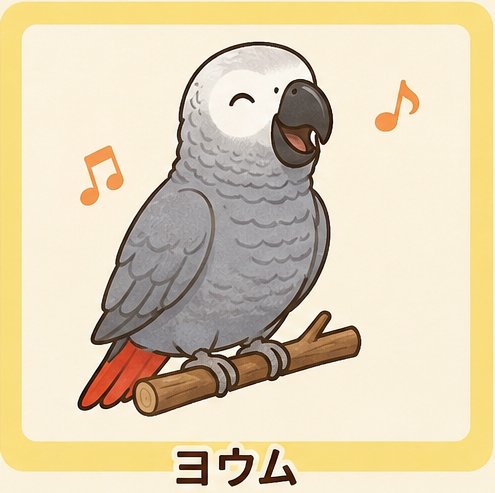 ヨウム